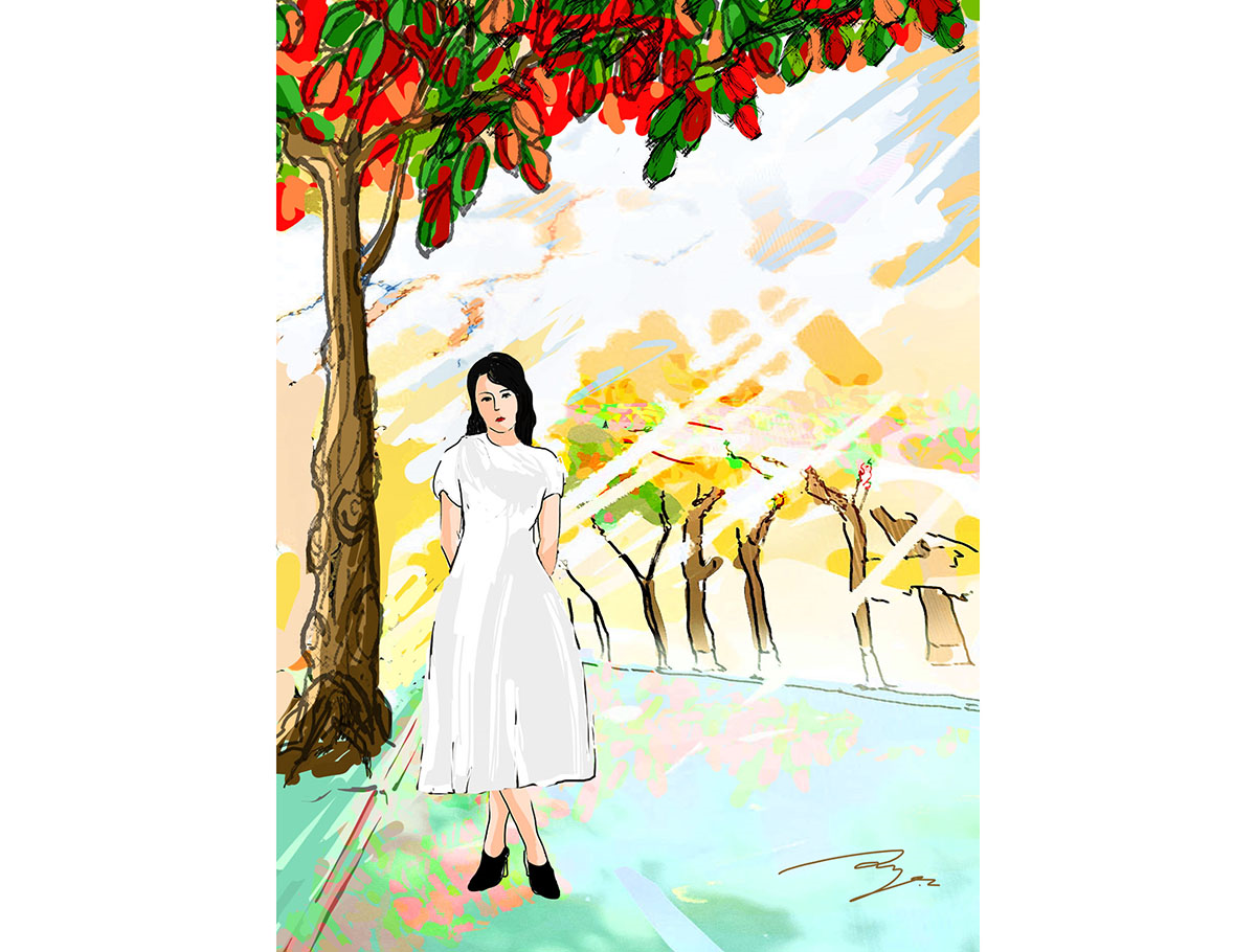 Cây Bàng trên đảo

